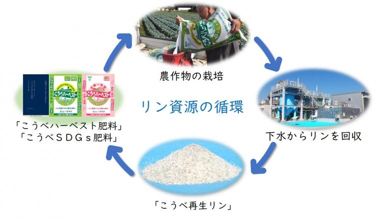 リン資源の循環図