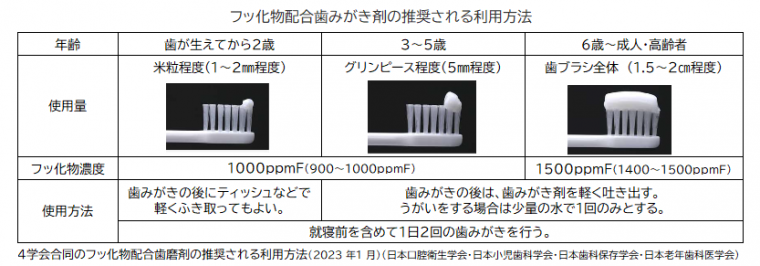 フッ化物配合歯磨剤2023