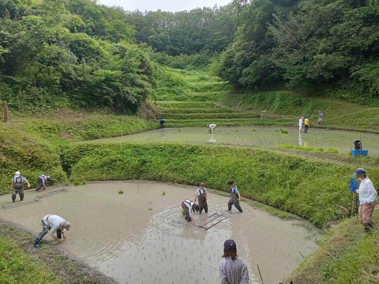 里地里山生物多様性の保全①